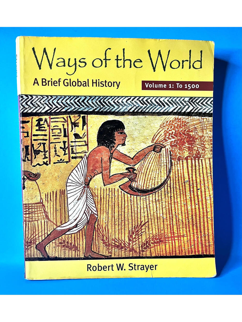 Ways of the World Vol 1 To 1500 Robert W Strayer Paperback Textbook